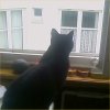 2007-12-11 Surveillance quotidienne_l.jpg